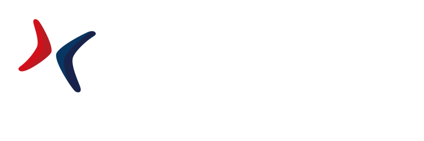 Flicube Logo